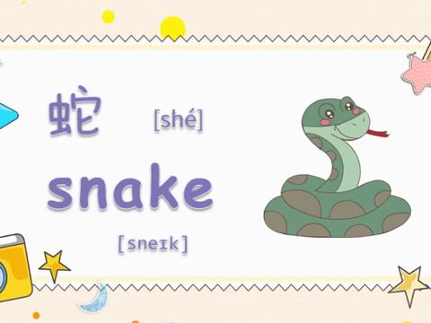 蛇的英语单词